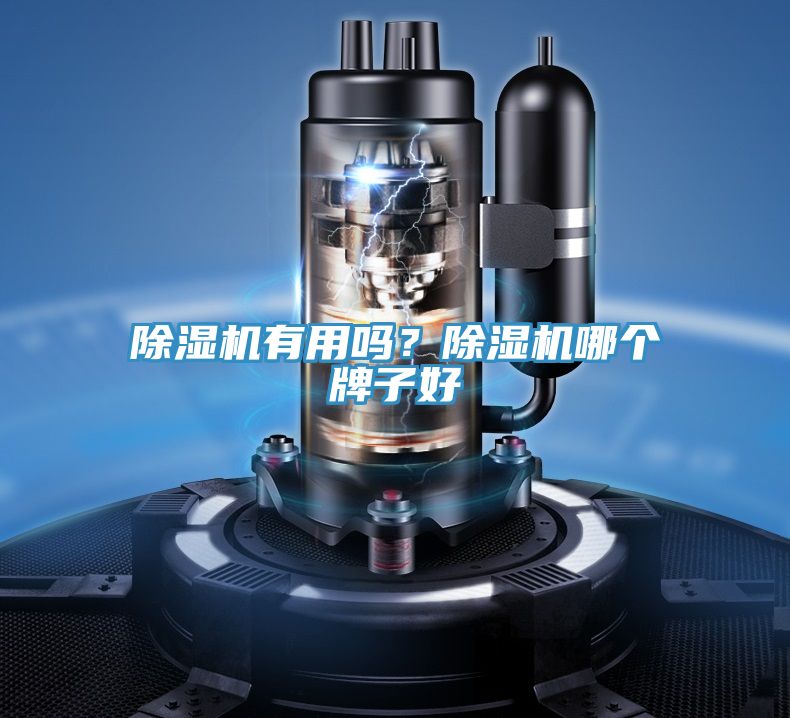 除濕機有用嗎？除濕機哪個牌子好