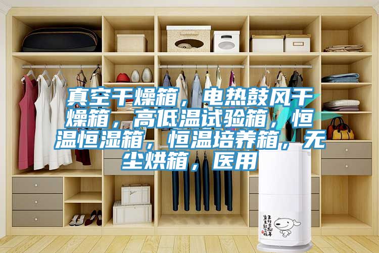 真空干燥箱,電熱鼓風(fēng)干燥箱,高低溫試驗箱,恒溫恒濕箱,恒溫培養(yǎng)箱,無塵烘箱,醫(yī)用