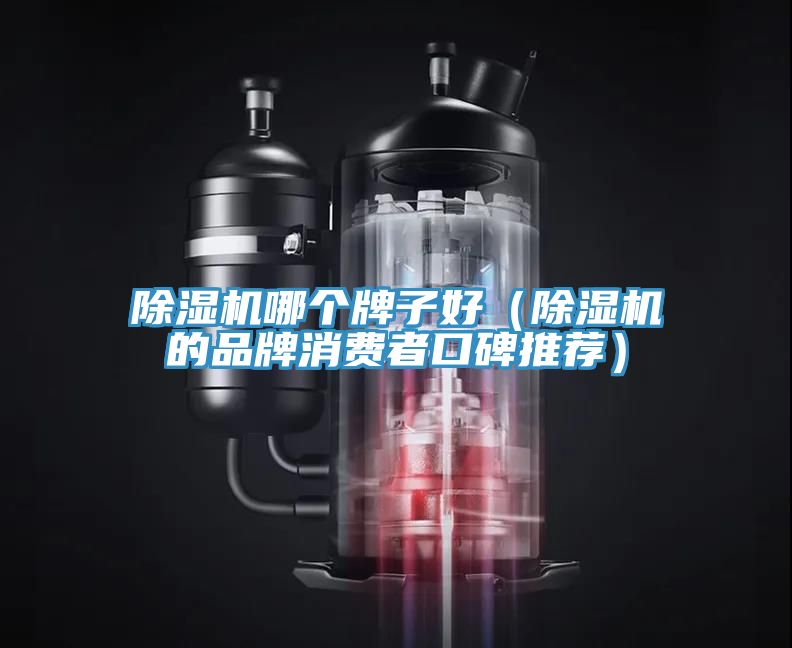 除濕機哪個牌子好(除濕機的品牌消費者口碑推薦)
