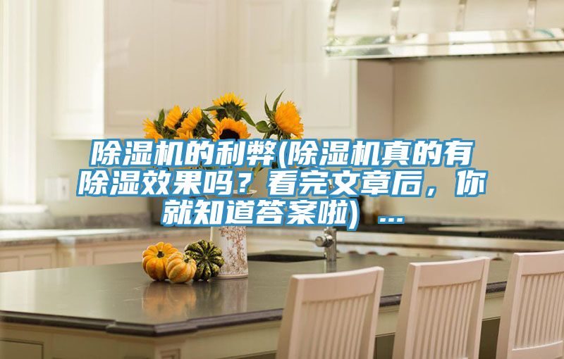 除濕機的利弊(除濕機真的有除濕效果嗎？看完文章后，你就知道答案啦) ...