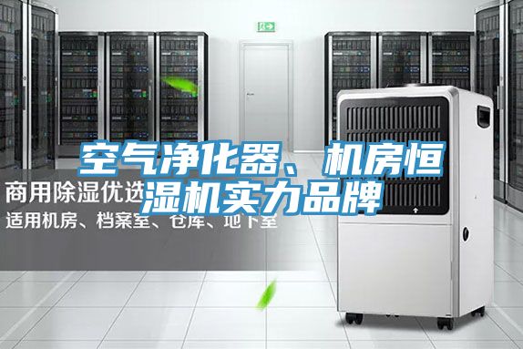 空氣凈化器、機房恒濕機實力品牌